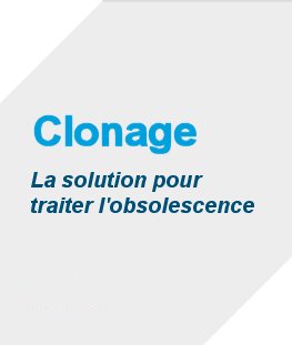 angle article clonage
