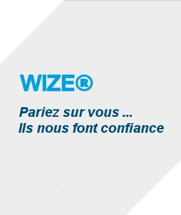 angle article wize references clients